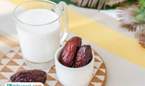 susu kurma