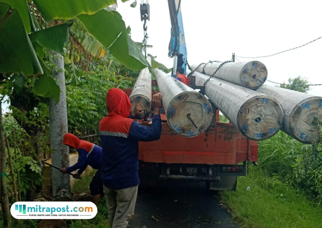petani ikan tambak