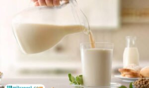 susu-nabati susu nabati