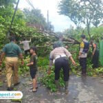 Foto: personil Polsek Margoyoso saat melakukan pemotongan pohon yang roboh (Mitrapost.com/ Polsek Margoyoso)