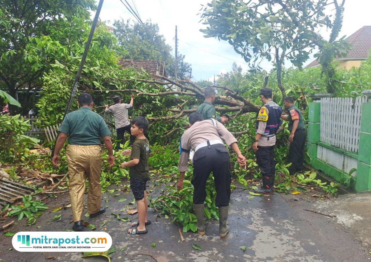 Foto: personil Polsek Margoyoso saat melakukan pemotongan pohon yang roboh (Mitrapost.com/ Polsek Margoyoso)