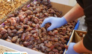 kurma asli