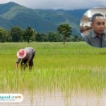 Ilustrasi petani milenial/istock
