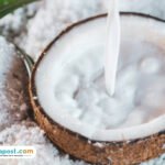 kelapa