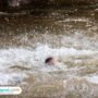 Ilustrasi korban hanyut / istock