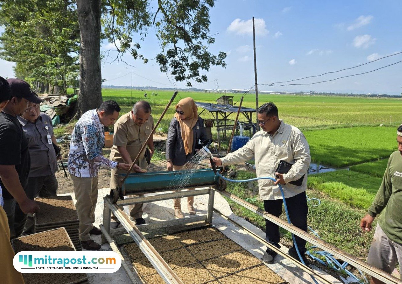 Foto: Komisi B DPRD Kabupaten Pati sidak proses penanaman padi secara modern di Desa Kutoharjo, Kecamatan Pati (Mitrapost.com/ Kafi)