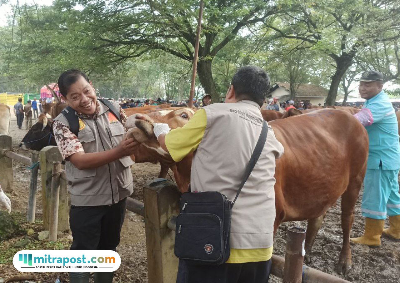 Foto : Tim Dispertan Pati melakukan pemeriksaan Hewan di Pasar Wagenan Kecamatan Margorejo Pati. (Sumber. Mitrapost.com/ Dispertan Kabupaten Pati)