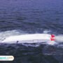 Ilustrasi speedboat terbalik/istock