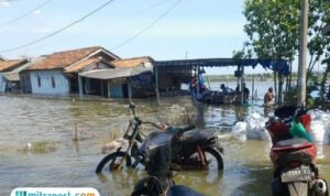 Foto : Kondisi banjir rob di Desa Tunggulsari Kecamatan Tayu, Jumat (30/05/2025). (Dok. Pemerintah Desa Tunggulsari)