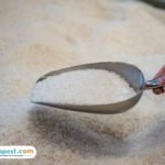 Ilustrasi beras/istock