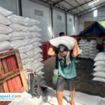 Foto: gudang yang di sewa Bulog Pati dalam menampung gabah dan beras hasil panen dari petani (Mitrapost.com/ Bulog Pati)