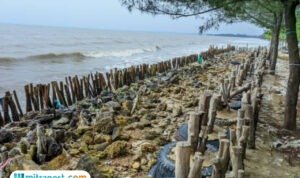Ilustrasi wilayah pesisir/istock