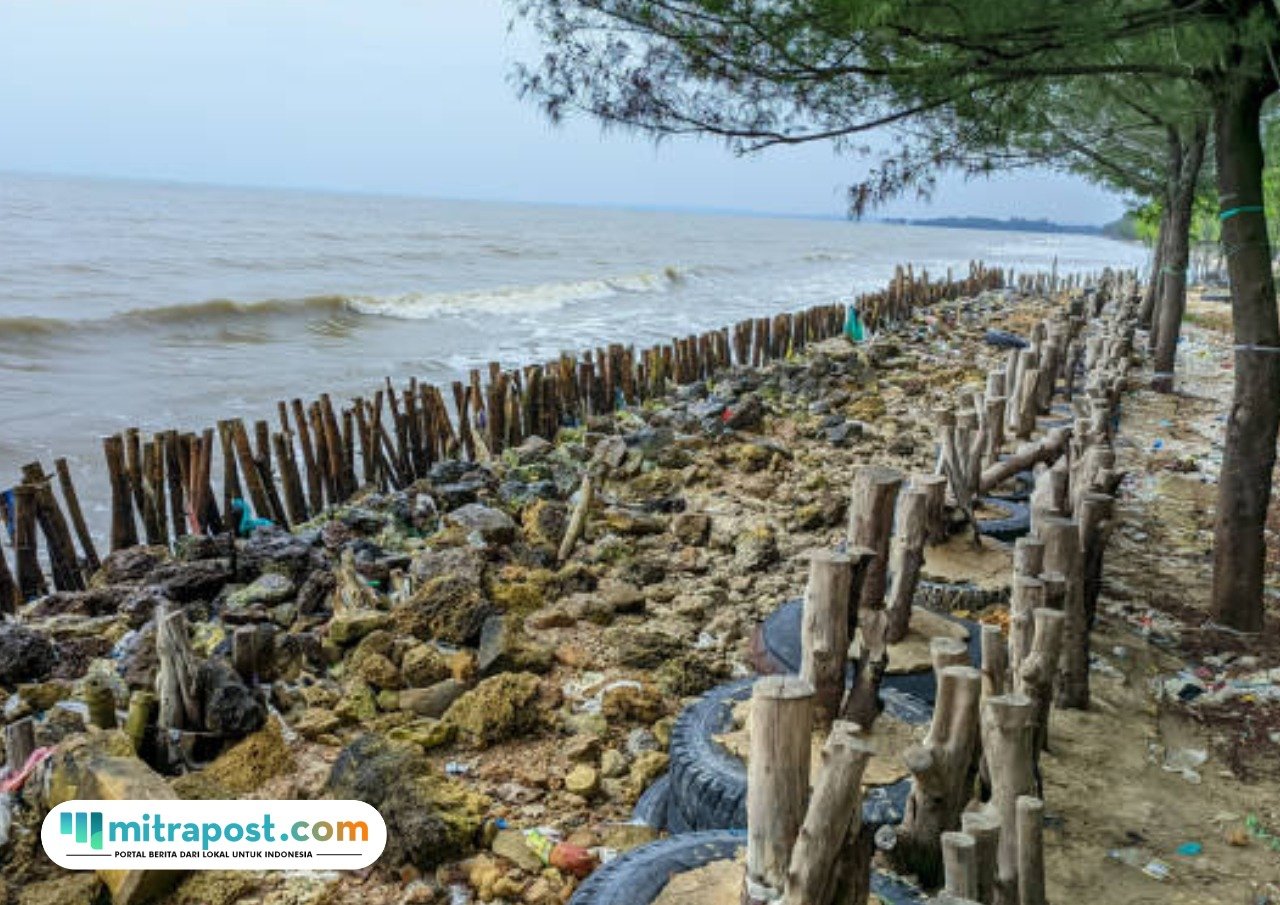 Ilustrasi wilayah pesisir/istock