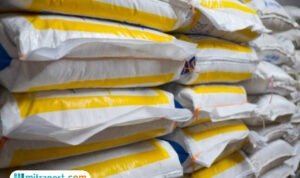 Ilustrasi pupuk subsidi/istock