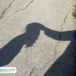 Ilustrasi predator anak/istock