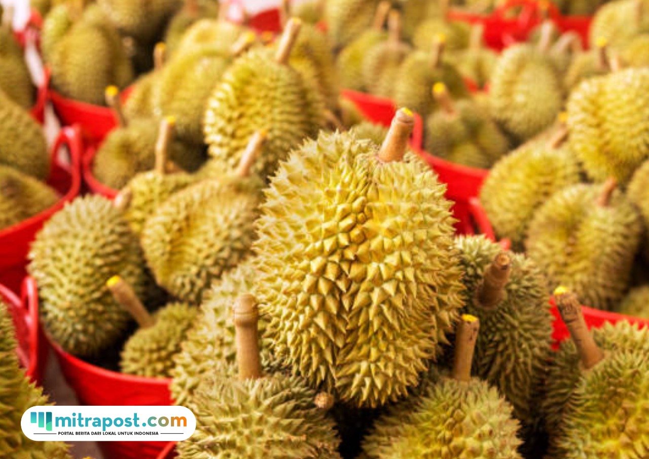 Kenapa Durian Dijuluki Raja Buah?