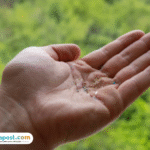 Foto: potret mikroplastik (sumber: istock)