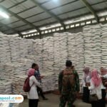Foto : Pengecekan kuantitas dan kualitas Beras di Gudang Bulog Sukokulon dan Bumirejo, Rabu (16/07/2025) kemarin, yang akan di dropping tiap desa (Dok. Disketapang Kabupaten Pati)