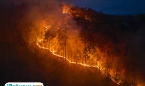 Ilustrasi kebakaran lahan/istock