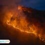 Ilustrasi kebakaran lahan/istock