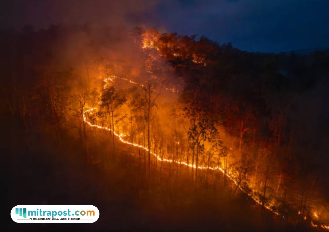 Ilustrasi kebakaran lahan/istock