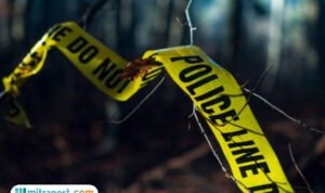 Petani Lansia di Buton Selatan Ditemukan Tewas dalam Perut Ular Piton