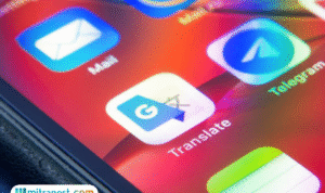 Foto: Google Translate (sumber: istock)