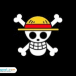 Foto: Gambar Bendera One Piece (sumber: Pinterest)