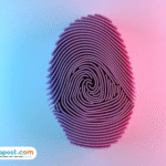 Foto: Ilustrasi Jejak Digital (sumber: istock)