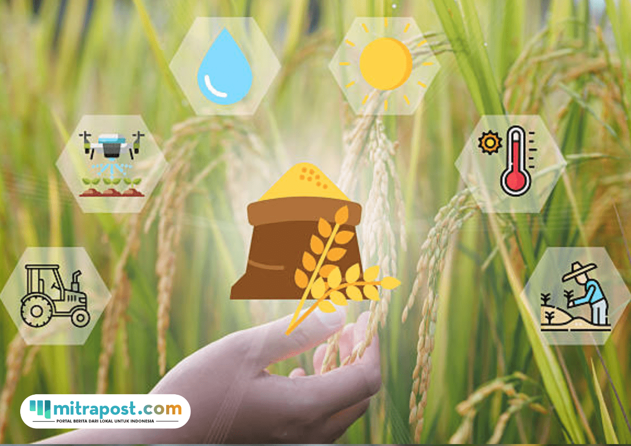 Foto: ilustrasi Sistem Ketahanan Pangan Nasional (sumber: istock)