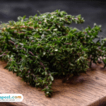 Foto: Daun Thyme Indonesia (sumber: istock)