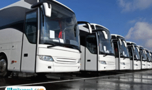 Foto: Ilustrasi jajaran bus dalam Gerakan Transportasi Hening (sumber: istock)