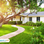 Foto: Manfaat Menanam Pohon di Sekitar Rumah (sumber: istock)