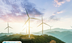 Foto: Ilustrasi Angin dan Arah Mata Angin (sumber: istock)