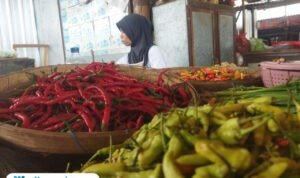 Foto: pedagang cabai di pasar puri beberapa waktu lalu (Mitrapost.com/ Ilham)