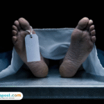 Diduga Berniat Curi Tiang Besi, Dua Pria di Deli Serdang Tewas Tersengat Listrik