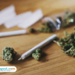 Alumni UIN Suska Riau Ditangkap Atas Peredaran 63 Kg Ganja Kering, Simpan Barang Bukti di Plafon Kampus
