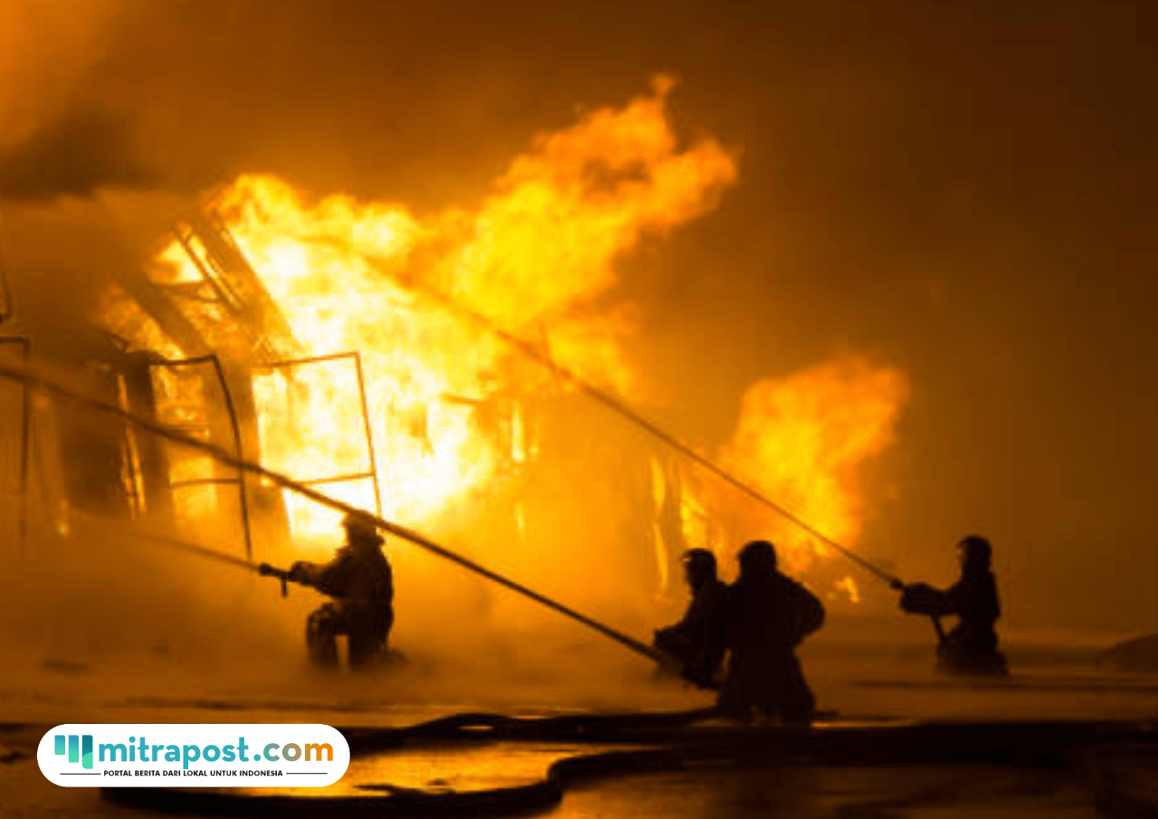 Kebakaran Kandang di Temanggung, Ribuan Ayam Usia 3 Hari Hangus Terbakar
