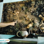 Foto : Bahan tempurung kelapa menjadi kerajinan relief di rumah Ratna Septi Anggrahenie. (Sumber. Mitrapost.com/ Ilham)