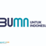 Foto: BUMN (sumber: LinkedIn)