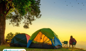 Foto: Ilustrasi camping (sumber: istock)