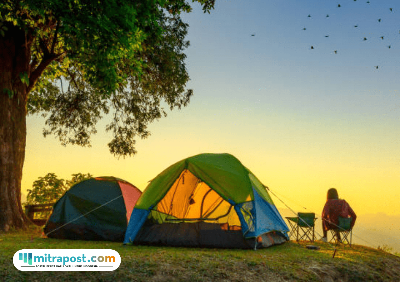 Foto: Ilustrasi camping (sumber: istock) Foto: Ilustrasi camping (sumber: istock)