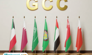 Foto: Bendera Negara GCC atau Dewan Kerja Sama Teluk (sumber: istock)