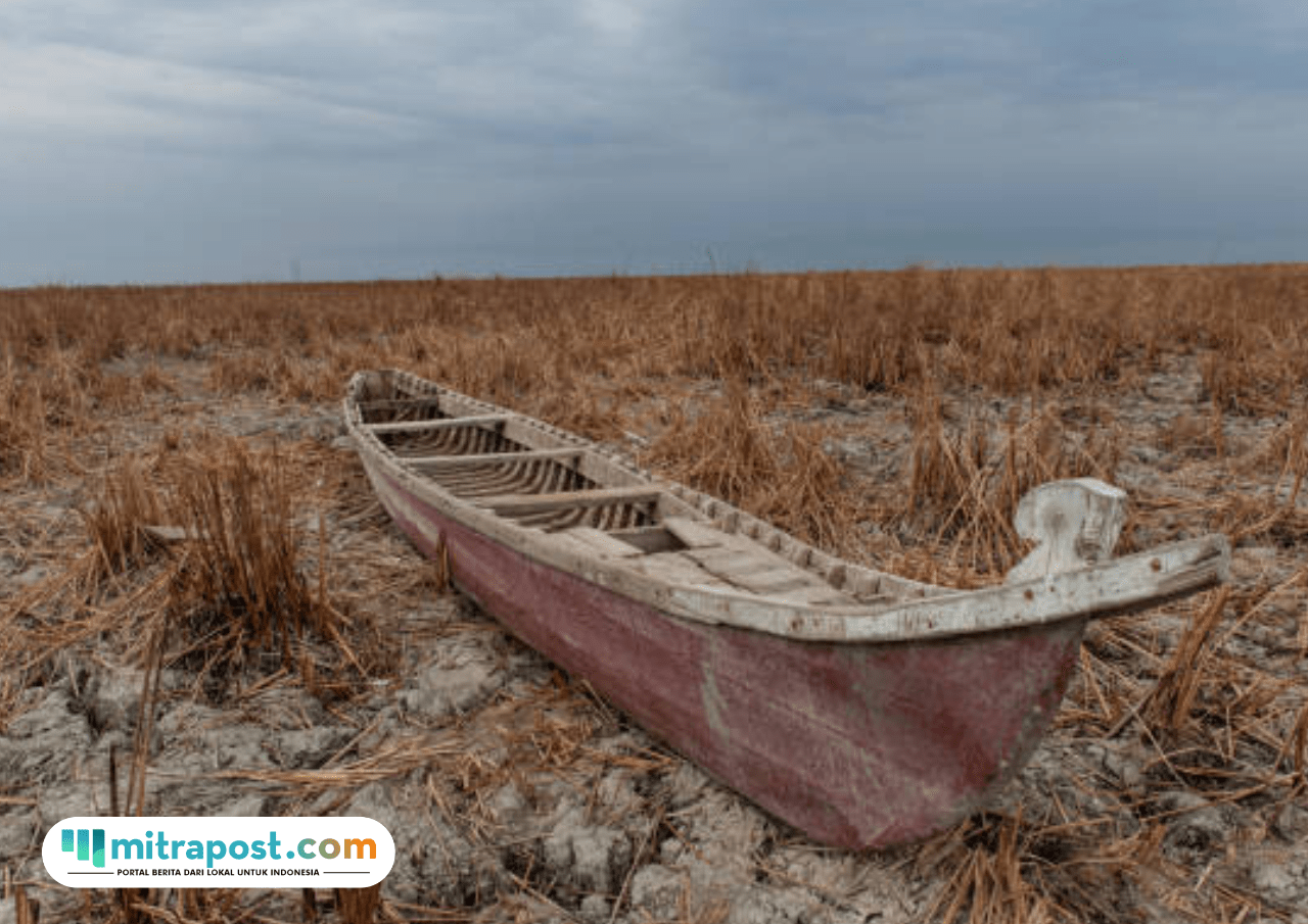 Foto: ilustrasi kekeringan (sumber: istock)