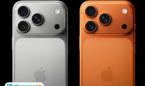 Foto: iPhone 17 (sumber: Apple)