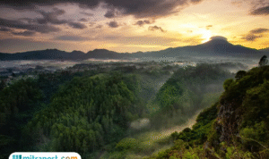 Foto: Taman Hutan Raya Ir. H. Djuanda (sumber: Traveloka)