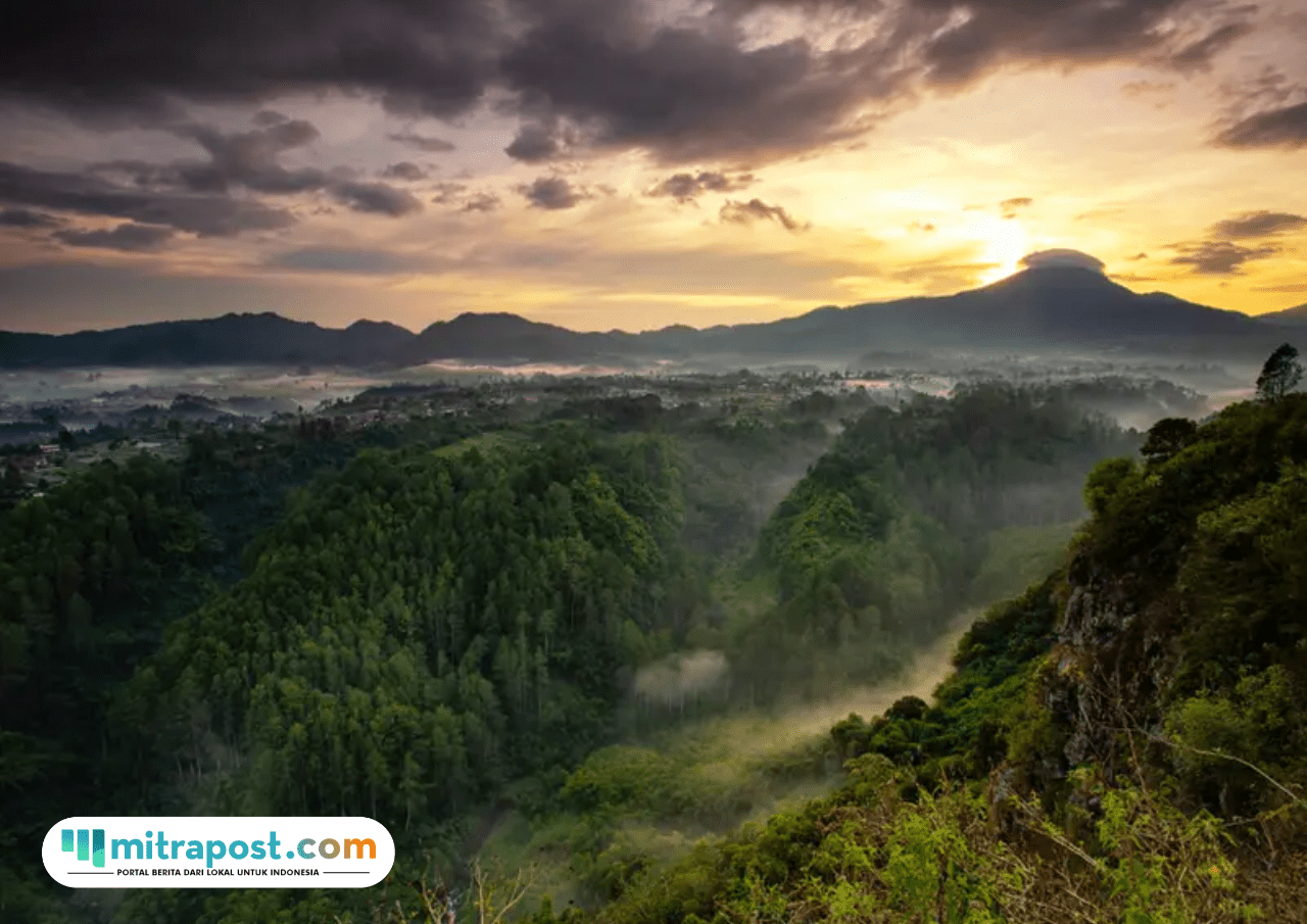 Foto: Taman Hutan Raya Ir. H. Djuanda (sumber: Traveloka)