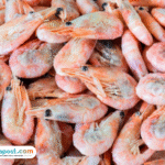 Foto: ilustrasi udang beku (sumber: istock)