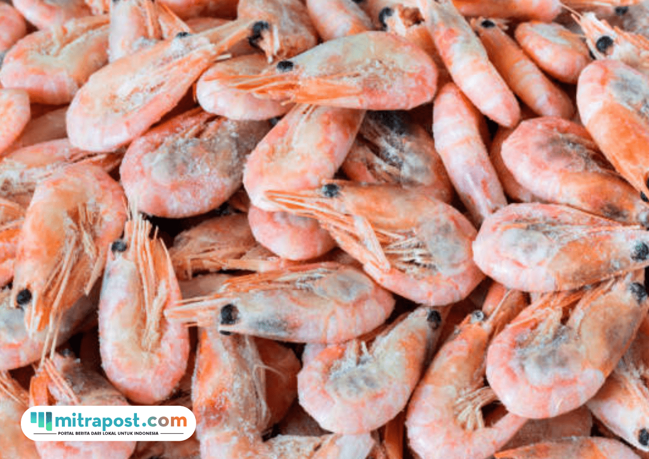 Foto: ilustrasi udang beku (sumber: istock)
