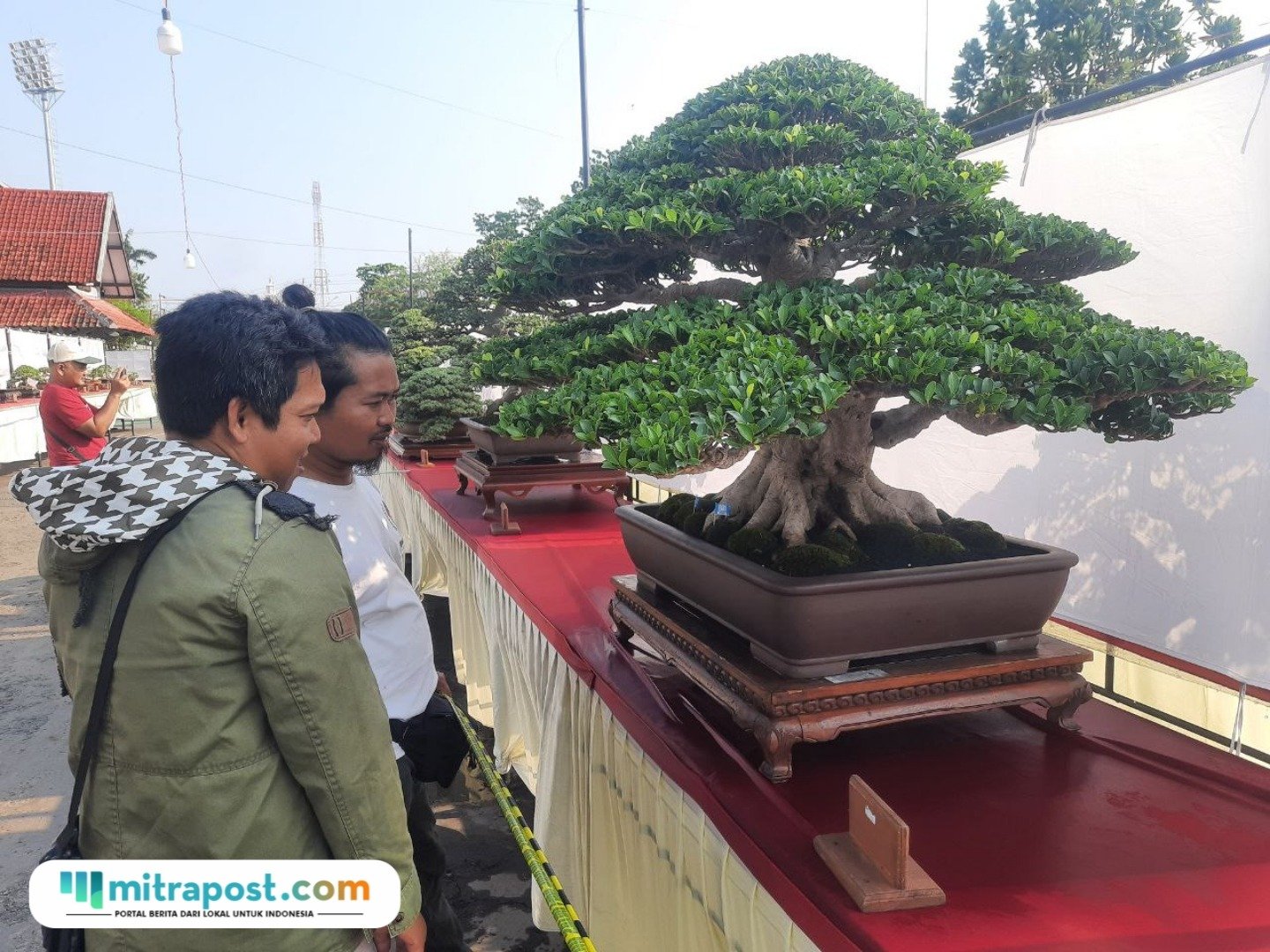 Foto: warga Pati saat melihat bonsai mahakarya yang berada di Halaman Stadion Joyokusumo Pati (Mitrapost.com/ Kafi) 